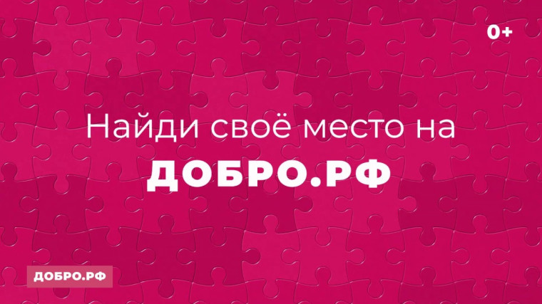 Единая информационная система в сфере добровольчества (волонтерства) «ДОБРО.РФ».